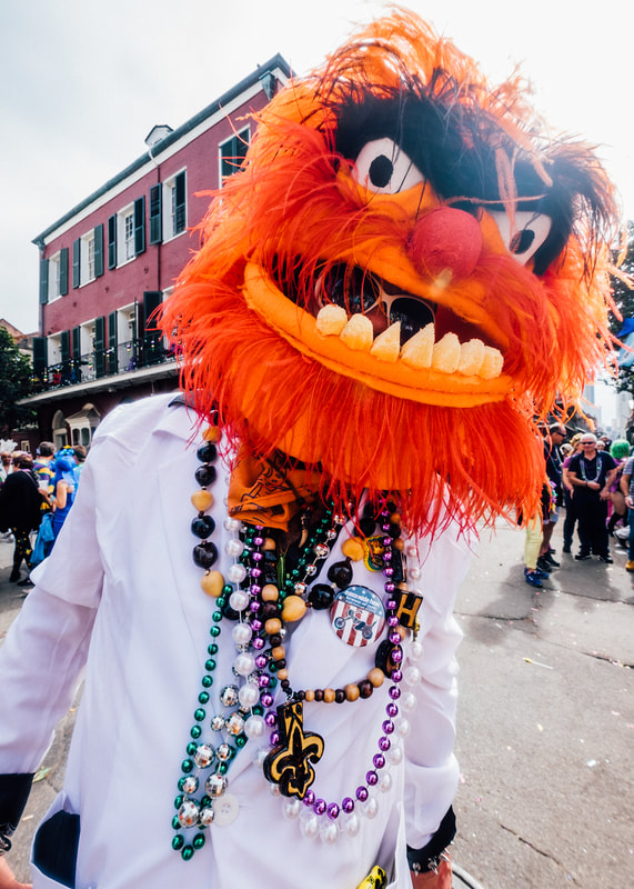 A photograph of a man dressed as Animal from the Muppets, taken on Mardi Gras day. St. Anne's Parade is in New Orleans French Quarter.